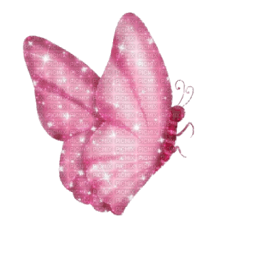 pink butterfly - GIF เคลื่อนไหวฟรี