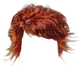hair, wig bp - besplatni png