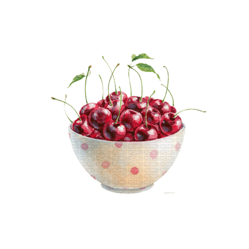 cherries  Bb2 - png ฟรี