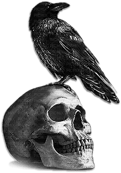 soave deco bird gothic skull black white - бесплатно png