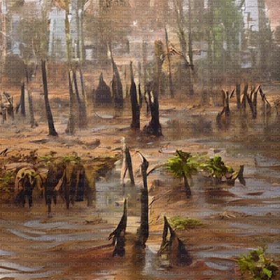 Brown Swamp Background - png grátis