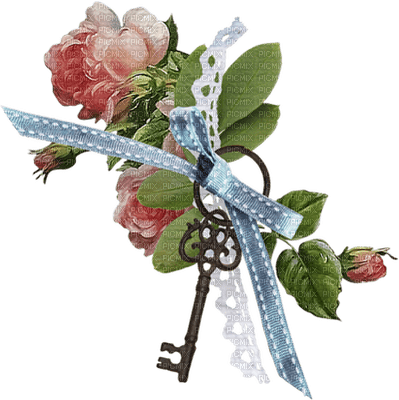 FLOWERS WITH KEY - 免费PNG
