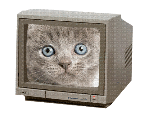 television - Безплатен анимиран GIF