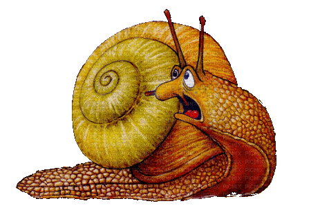 escargot - Darmowy animowany GIF