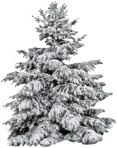 Winter Christmas Tree - GIF animate gratis