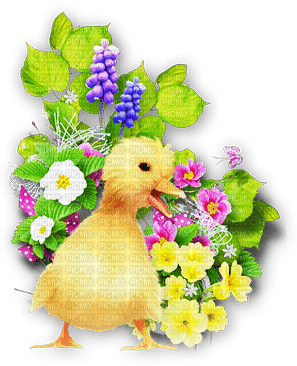 soave deco easter spring flowers chick pink - PNG gratuit
