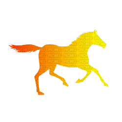 rainbow horse - GIF animé gratuit