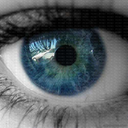 Eye see U - Bezmaksas animēts GIF