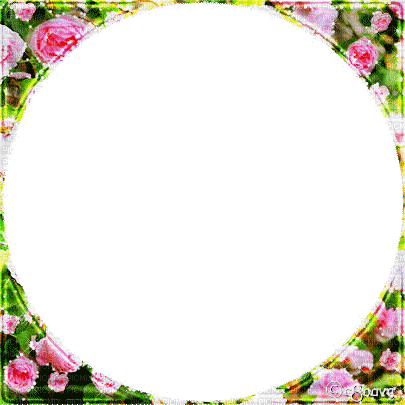 soave animated frame circle flowers rose spring - Besplatni animirani GIF