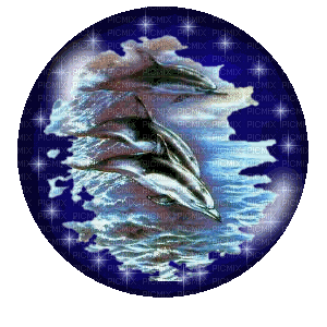 dauphins - Gratis animerad GIF