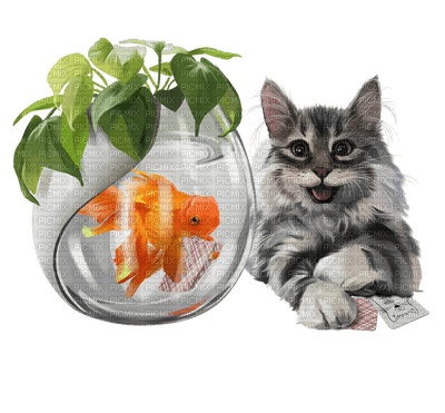 cat chat katze fish fisch poisson glas glass deco  fun  summer ete  tube  sommer animal - gratis png