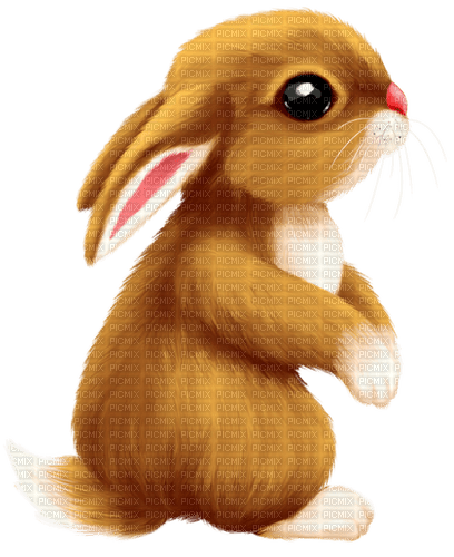 Bunny.Rabbit.Brown.White - Free PNG