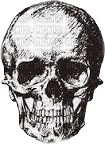 skeleton katrin - ücretsiz png