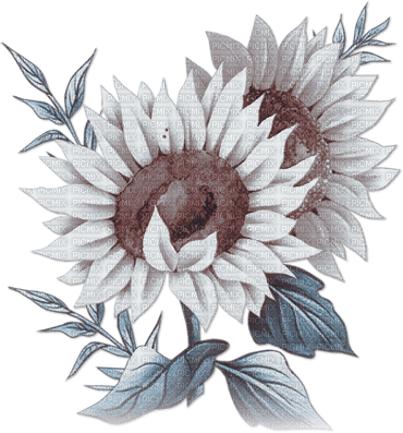 soave deco flowers sunflowers branch blue brown - PNG gratuit