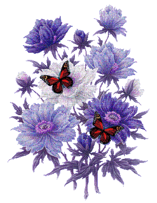 papillonGS цветыгуля - Darmowy animowany GIF