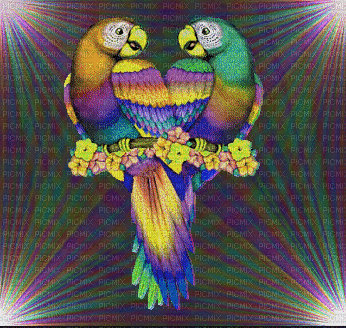 perroquets - GIF animado gratis