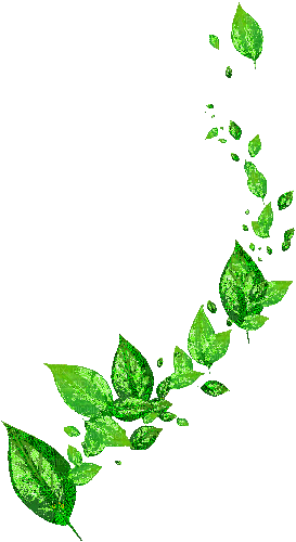 green vine - Ilmainen animoitu GIF