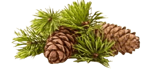 cones - Free PNG