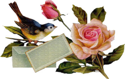 Kaz_Creations Bird Birds Deco Flowers - Free animated GIF