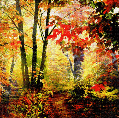 loly33 paysage fond automne - Безплатен анимиран GIF
