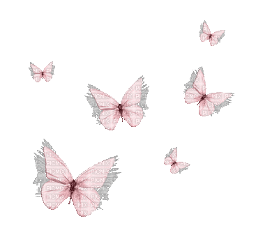 Butterflies - Darmowy animowany GIF