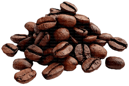 coffee deco kikkapink - png grátis