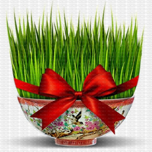 sabzeh, nowruz - δωρεάν png