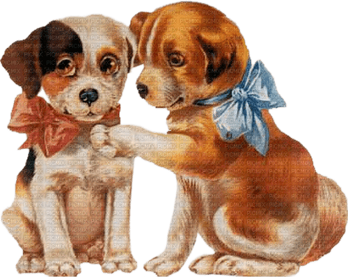 Chiens amoureux - darmowe png