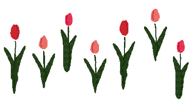 Tulipes.Tulips.Fleur.Victoriabea - Free animated GIF