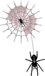 spider - 無料png