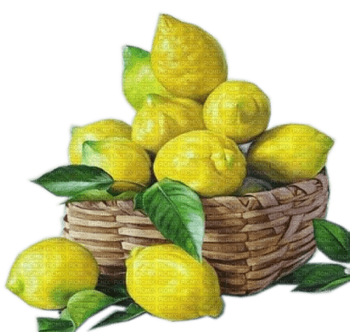 Rena Zitronenkorb - png gratis
