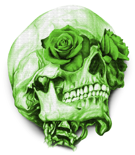 Y.A.M._Gothic skull green - бесплатно png