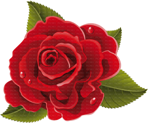 red rose deco - besplatni png