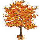 Autumn Tree - Bezmaksas animēts GIF