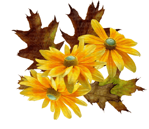 Autumn.Flowers.Automne.Fleurs.Victoriabea - png gratis