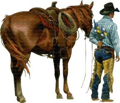 cowboys - Darmowy animowany GIF