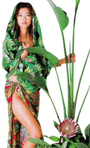 woman jungle - zdarma png