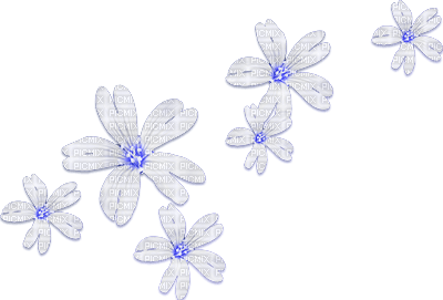soave deco flowers scrap white blue - png ฟรี