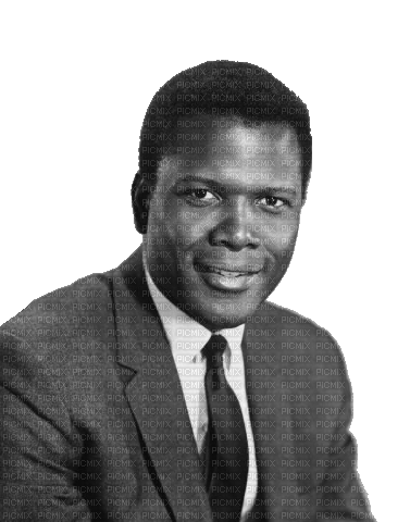Homme 21 (Sidney Poitier) - zdarma png