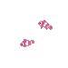 pink fish - Gratis geanimeerde GIF