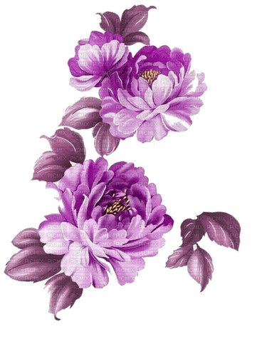 déco fleurs /Clody - PNG gratuit