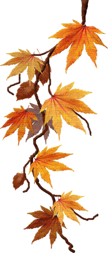 automne - 免费PNG