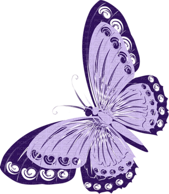 Butterfly- pages -2 - besplatni png