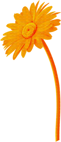 Flower.Orange - Free PNG