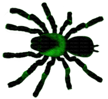 Spider.Black.Green - Free PNG