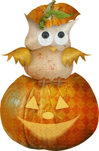 halloween pumpkin kürbis courge - png gratis