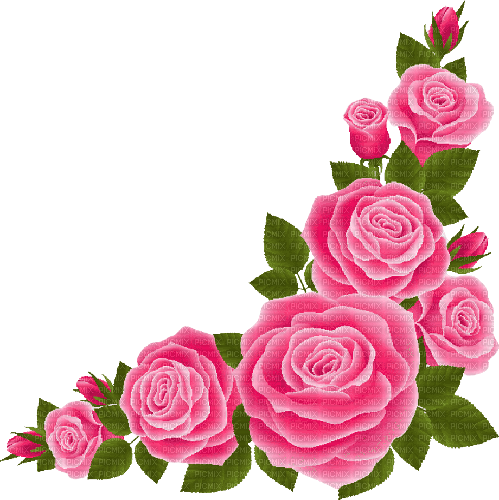 Pink Rose - Bogusia - bezmaksas png