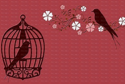 minou-background-bird-pink - gratis png