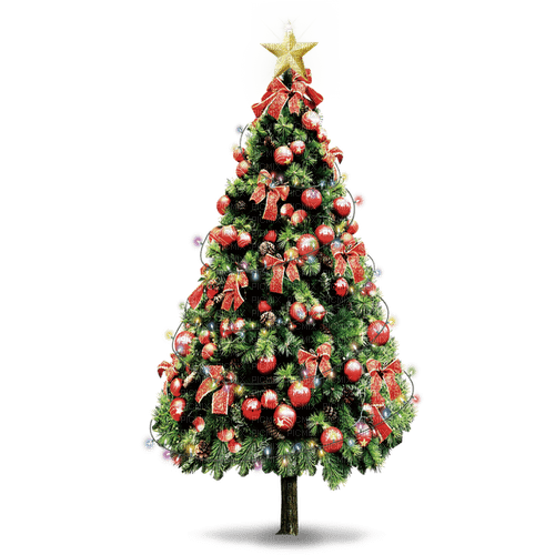 Árbol de   navidad - zadarmo png