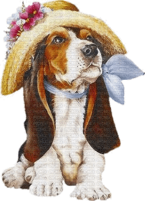 dolceluna spring dog - PNG gratuit